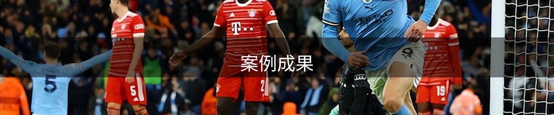 案例成果